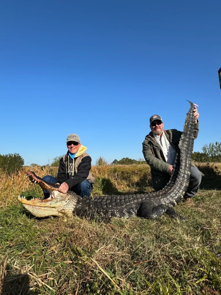 gator outfitters