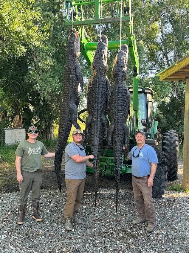 Florida Alligator Hunting Trips