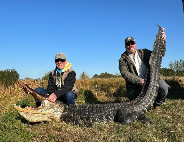 Florida gator hunting guides