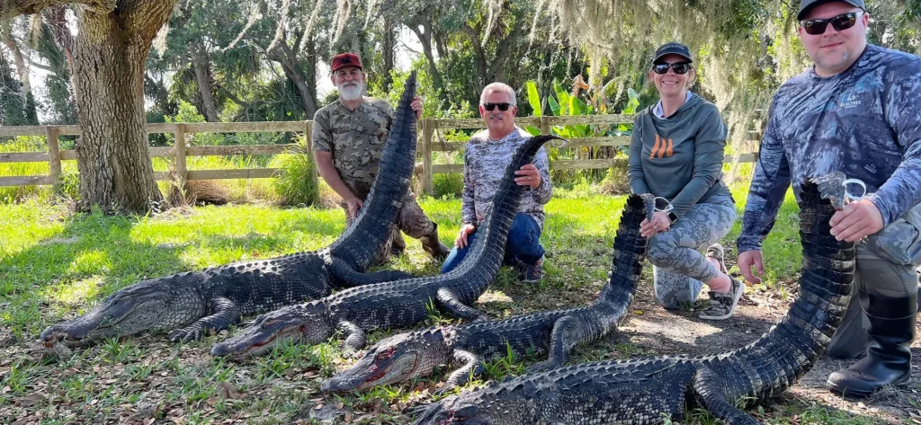 guaranteed alligator hunts florida