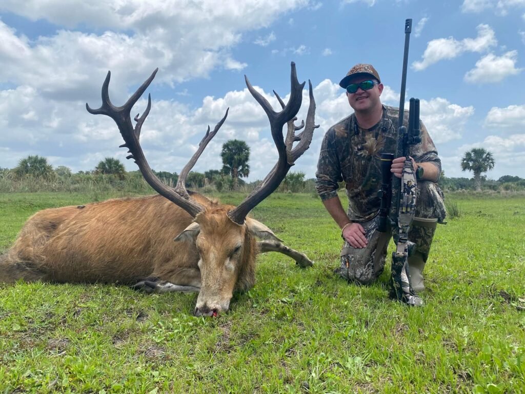 Florida alligator hunting trips