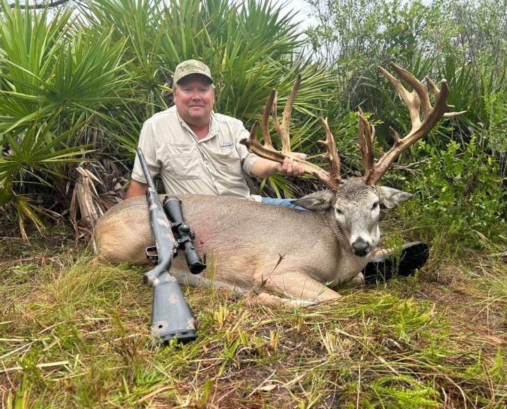 whitetail deer